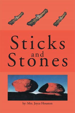 Cover of the book Sticks and Stones by Kenneth Richard Markel