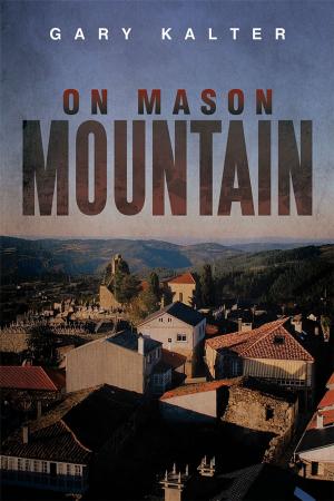 Cover of the book On Mason Mountain by Douglas V. Maurer