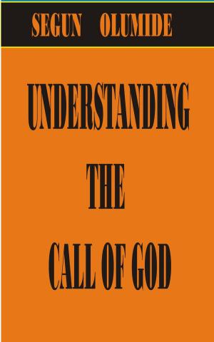 Cover of the book Understanding The Call of God by SEGUN OLUMIDE