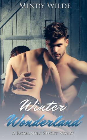 Cover of Winter Wonderland (A Romantic Short Story)