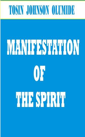 Book cover of Manifestation of the Spirit