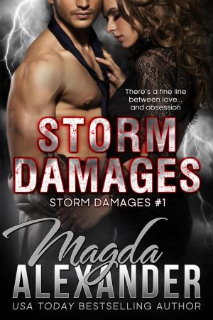 Cover of the book Storm Damages by Stephanie Haddad