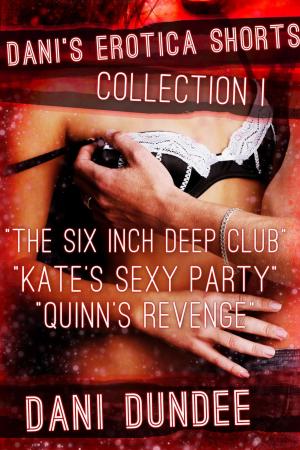 Cover of the book Dani's Erotica Shorts Collection I by C. Coal