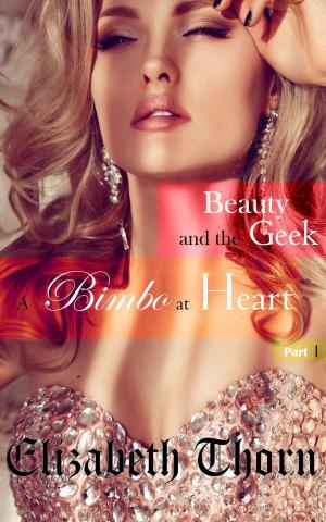 Cover of the book Beauty and the Geek Part 1 - A Bimbo At Heart by Giuseppe Favata