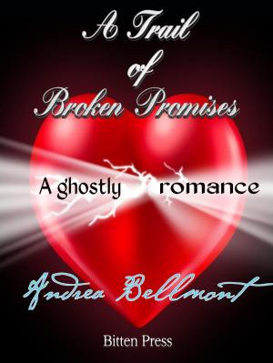 bigCover of the book A Trail of Broken Promises by 