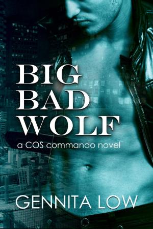 bigCover of the book Big Bad Wolf by 