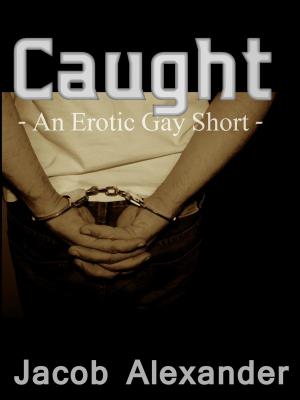 Cover of the book Caught by Amy Star