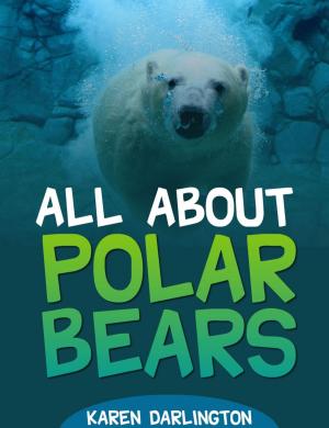 Cover of the book All About Polar Bears by Eliza Charles McCaulay