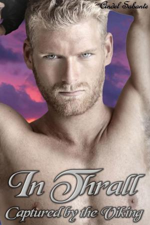 Cover of the book In Thrall - Captured by the Viking by Cindel Sabante