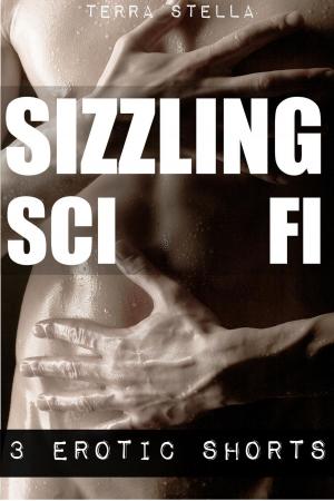 Cover of the book Sizzling Sci Fi (Three Erotic Shorts) by Ceres Blake