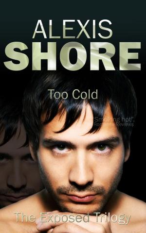 Cover of the book Too Cold by Annabeth Leong