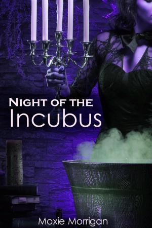 Cover of the book Night of the Incubus by Eva van Mayen