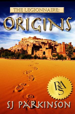 Cover of the book Origins by Cardinal de Retz