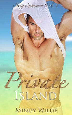Book cover of Private Island (Sexy Summer Vol. 1)