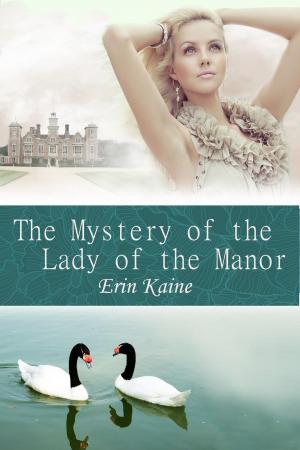 bigCover of the book The Mystery of the Lady of the Manor by 