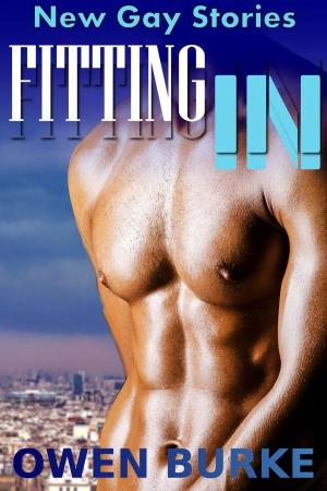 bigCover of the book Fitting In: First Time Gay Erotica by 