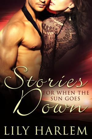 Cover of the book Stories for When the Sun Goes Down by Melissa Holden