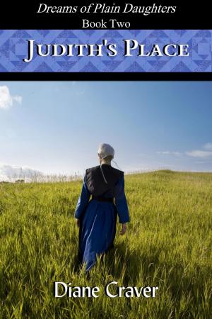 Cover of Judith's Place