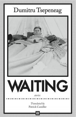 Cover of the book Waiting: stories by Andrzej Stasiuk