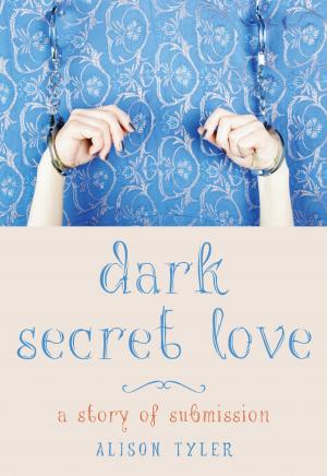 Cover of Dark Secret Love