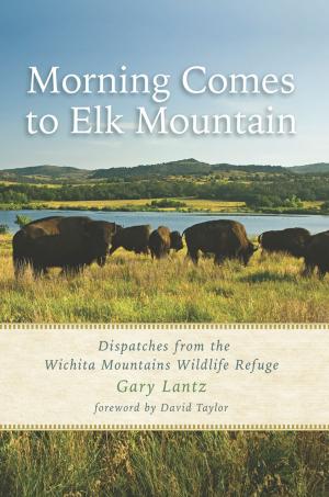 Book cover of Morning Comes to Elk Mountain