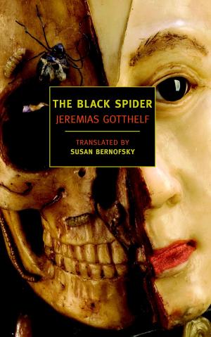 Cover of the book The Black Spider by Mavis Gallant