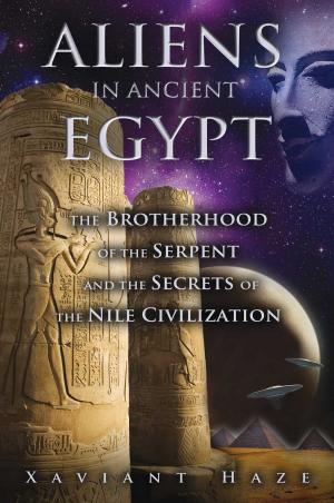 bigCover of the book Aliens in Ancient Egypt by 