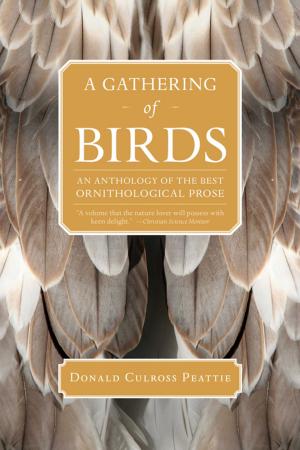 Cover of the book A Gathering of Birds by Joanne B. Mulcahy