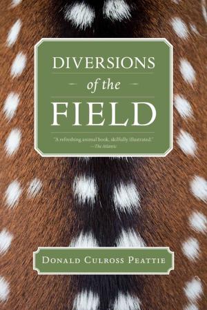 Cover of the book Diversions of the Field by Leath Tonino
