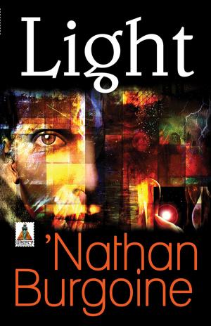 Cover of the book Light by Nell Stark, Trinity Tam