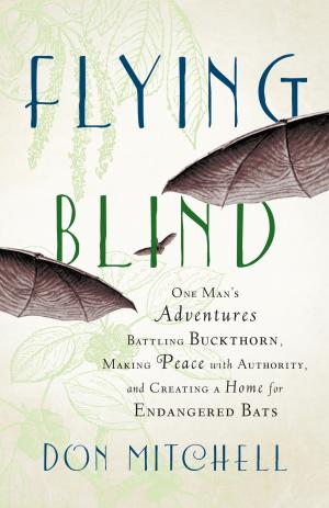 Cover of the book Flying Blind by Hilary Boynton, Mary Brackett