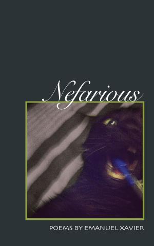 Book cover of Nefarious