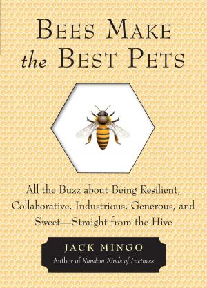 Book cover of Bees Make the Best Pets