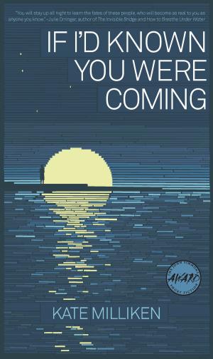 Cover of the book If I'd Known You Were Coming by Douglas Bauer