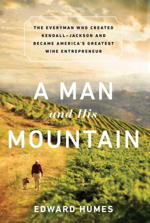 Cover of the book A Man and his Mountain by Chen Guidi, Wu Chuntao