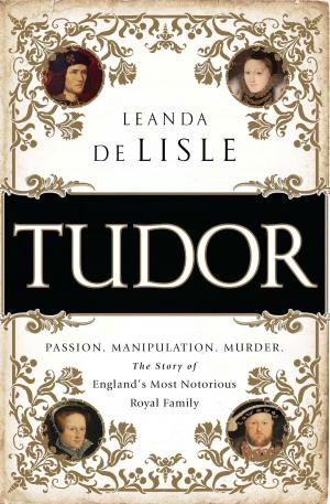 Cover of the book Tudor by Melissa Boyle Mahle