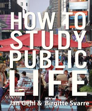 Cover of the book How to Study Public Life by Robert A. Long