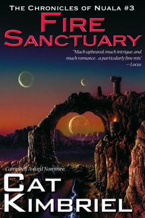 Cover of the book Fire Sanctuary by Deborah J. Ross (editor)