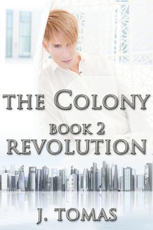 Book cover of The Colony Book 2: Revolution