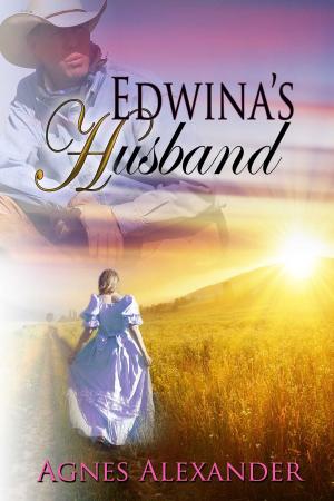 Cover of the book Edwina's Husband by Annette Snyder