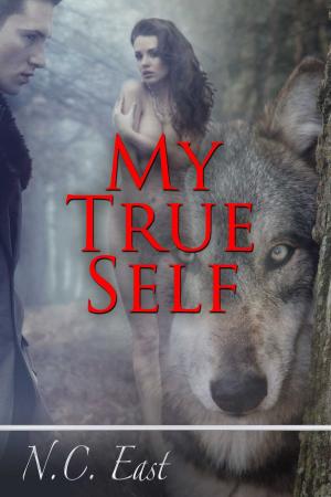 Cover of the book My True Self by J.B. Kleynhans