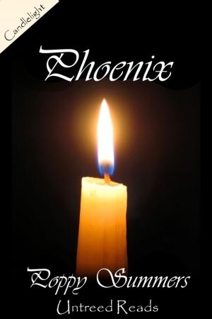 Cover of the book Phoenix by Alvah Bessie