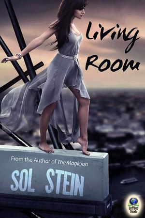 Cover of the book Living Room by Lory La Selva Paduano