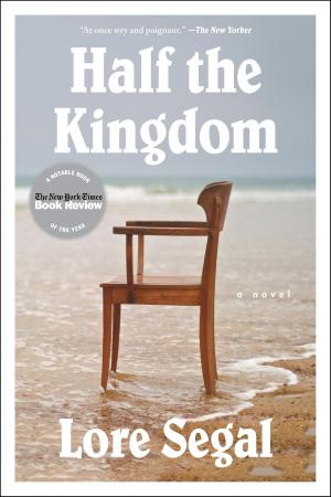 Cover of the book Half the Kingdom by Jonathan Lethem