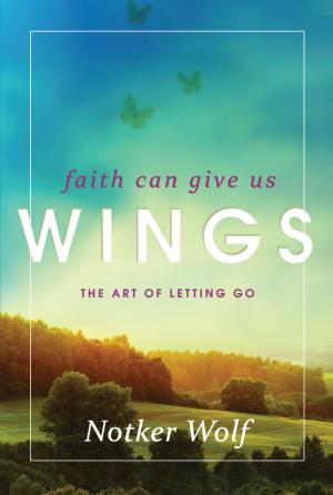 Cover of the book Faith Can Give Us Wings by Jon M. Sweeney