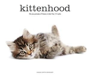 Cover of the book Kittenhood by David Winner