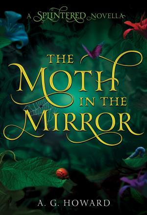 Cover of the book The Moth in the Mirror by Jeff Kinney