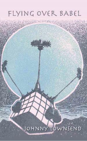 Cover of the book Flying Over Babel by Rosalie Stafford
