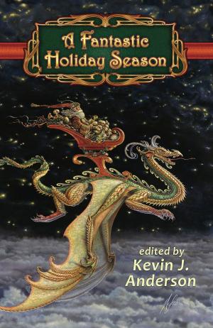 Cover of the book A Fantastic Holiday Season by L.J Sealey