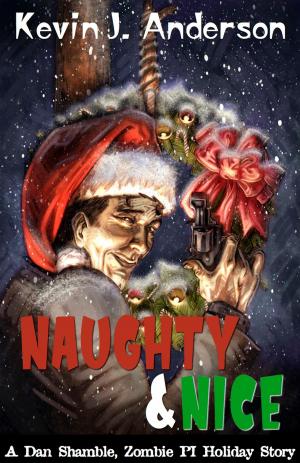 Cover of the book Naughty and Nice by L. Jagi Lamplighter